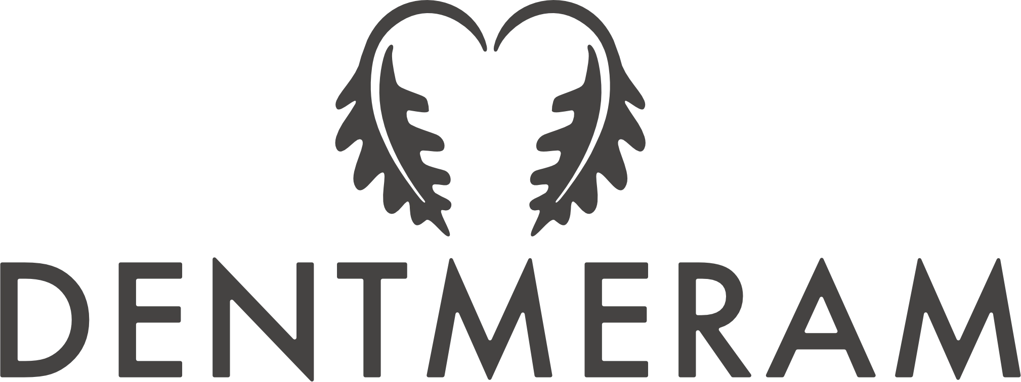 Dent Meram Logo